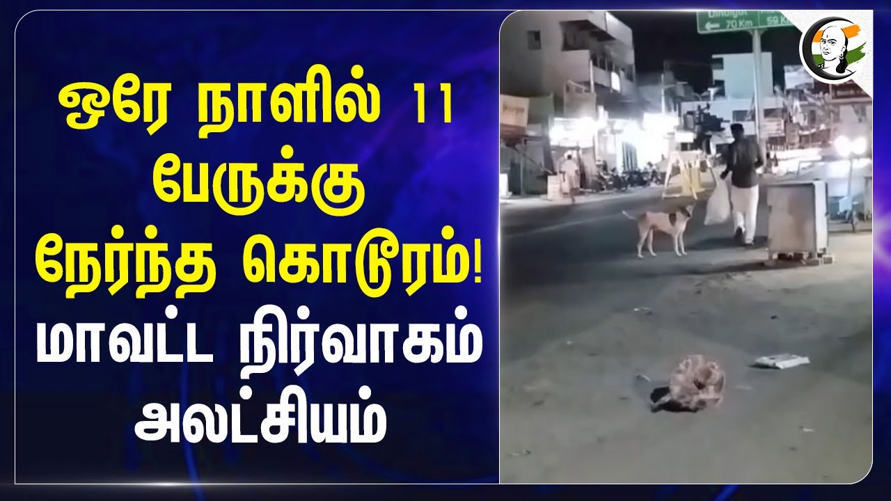 ஒரே நாளில் 11 பேருக்கு நேர்ந்த கொடூரம்! மாவட்ட நிர்வாகம் அலட்சியம் | Dog Bite