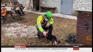 Dog stays with hiker who broke ankle for a week in the Alps (Italy) - BBC News - 19th February 2021