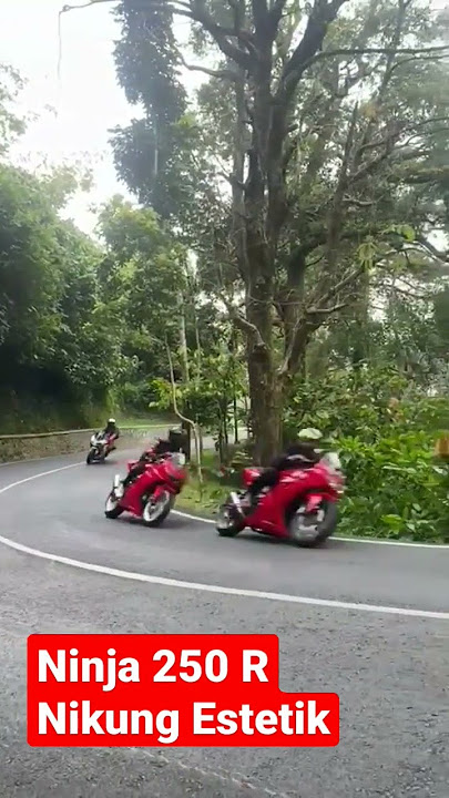 NINJA 250 NIKUNG #ninja250 #ninja300 #ninjakarbu