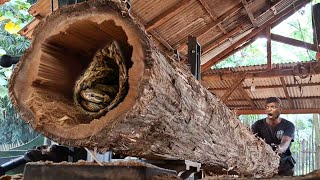 looking inside a secret sawmill, unexpected discovery of teak logs at the sawmill 