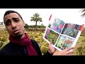 Un jardin magnifique cactus thiemann marrakech 2017