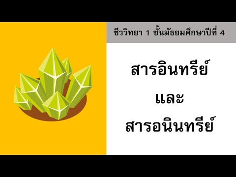 วีดีโอ: ประเภทของมูลอนินทรีย์ - ประโยชน์และข้อเสียของมูลอนินทรีย์