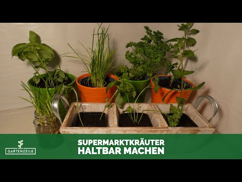 Video: Elegante Küchen-Kräuter-Pflanzer-Töpfe durch Toyo