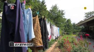 SBS Curious Stories Y 10/04/2013 Replay #1(4)