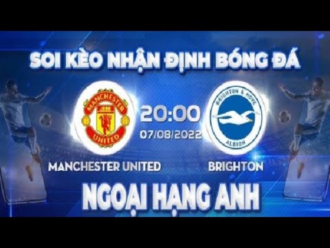 Nhận Định Bóng Đá Wap - Nhận định bóng đá MU vs Brighton, 20h00 ngày 7/8 vòng 1 Premier League 2022/23