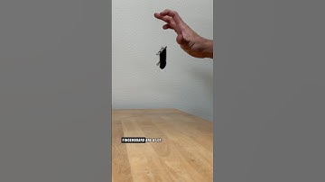 How to Heel Flip on a Fingerboard! #fingerboard #tutorial #howto