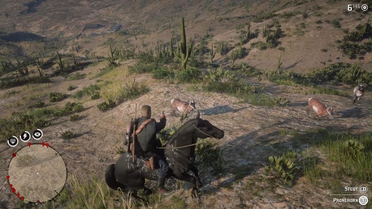 Most of the New Austin animals as Arthur (outside the map glitch)- RDR2 ...