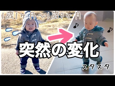 【長期戦】2ヶ月間なぜか外では絶対に歩きたがらないコがあっさり克服した方法【1歳1ヶ月〜1歳3ヶ月】 | My baby doesn't want to walk outside.