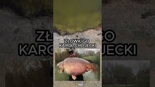 rekordy polskich ryb