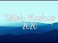 TIKTOK MASHUP 2019 vs 2020 (Not Clean) 2.0🔥💙