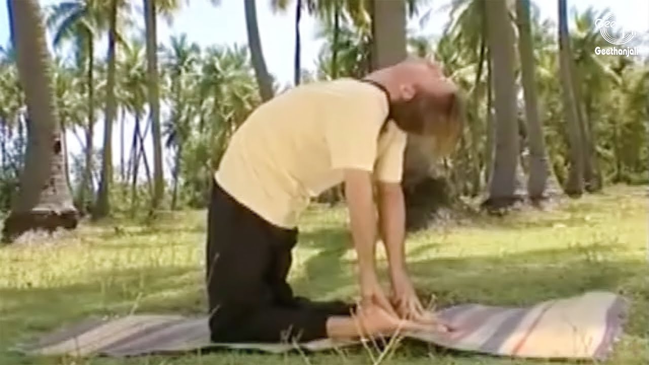 Yoga For Diabetes 35 Effective Yoga Asanas to Keep Diabetes Under Yoga For Diabetes 35 Effective Yoga Asanas to Keep Diabetes Under