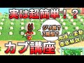 【あつ森】実は超簡単!?誰でも分かる最強金稼ぎ方法 カブ講座【あつまれどうぶつの森】