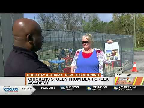 Chickens stolen from Bear Creek Academy