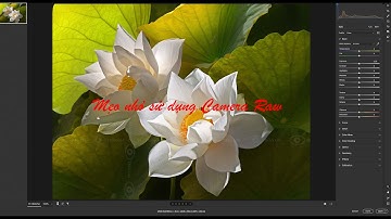 Tip sử dụng Camera raw #Trần gia studio # Sử dụng Camera Raw