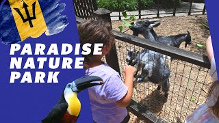 Barbados Fun for the Whole Family at Paradise Nature Park