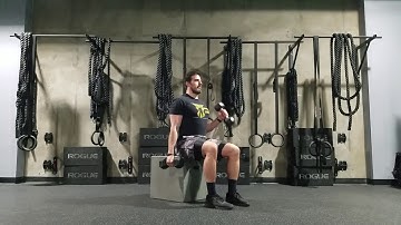 Single arm seated dumbbell hammer curl