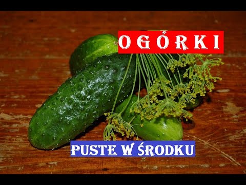 Wideo: Puste ogórki – dlaczego ogórki są puste w środku