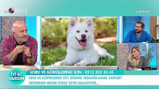 Kedi Ve Kopeklerde Tuy Dokme Tedavisi Nasil Yapilir Youtube