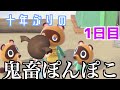 【どう森】10年ぶりにおっさんがどうぶつの森やったらやかましすぎた【1日目】wwwwww