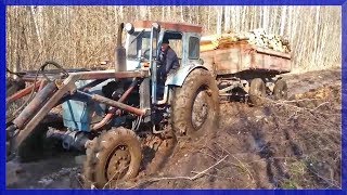 Трактор Т-40АМТ В Болоте. #Maksim_TechnikPRO
