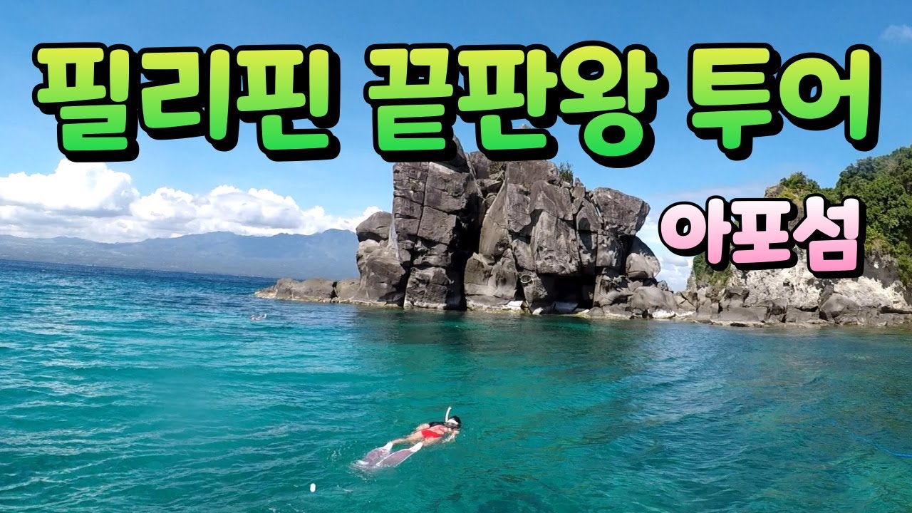 산호정글 거북이들의 천국. 아포섬 투어. 필리핀 시키호르 가족여행(part 9) 가족 스노클링 프리다이빙