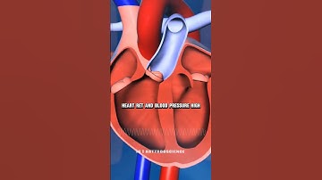 sound ultrasonic frequency #sound #loud #facts #science #trending #shorts