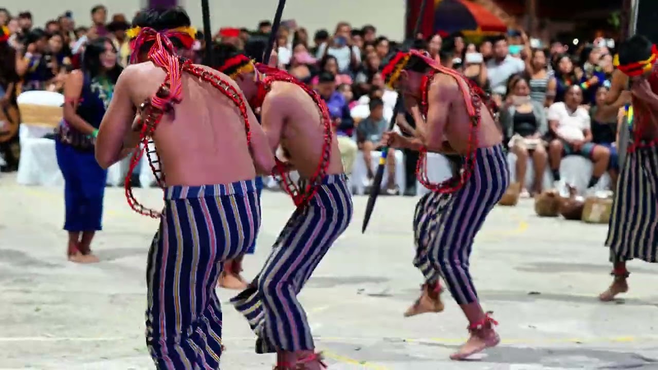 🔥Danza Shuar Taisha Uchiri - Tsenku + Yatsuchiru (Vídeo Oficial) 2025✔️