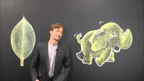 Hadoop vs MongoDB