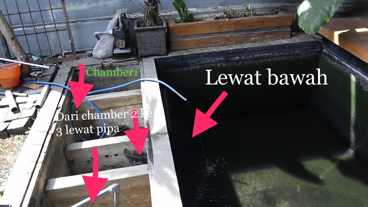 Sirkulasi air dari kolam ke chamber filter pada kolam koi minimalisku
