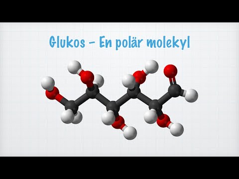 Video: Vilken molekyl är opolär?