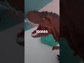kkkkk