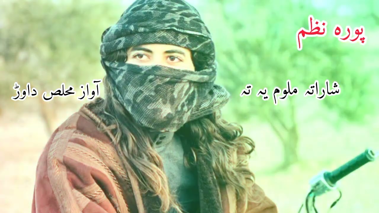 پشتو نظم آواز محلص داوڑ 