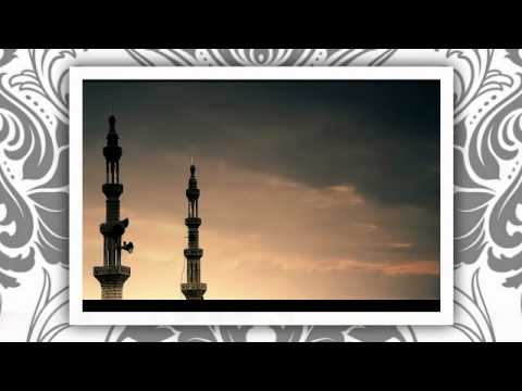 يارب حمزه نمره
