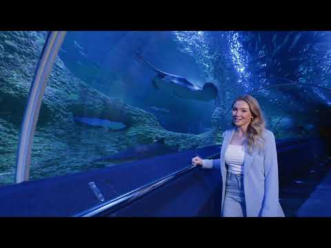 Video: Aquarium ntawm Western Australia (AQWA) cov lus piav qhia thiab duab - Australia: Perth