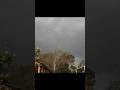 THUNDER ON A HOT SUMMER DAY REMINDS ME THAT CHANGE HAPPENS WHEN WE LEAST EXPECT IT।#Shorts
