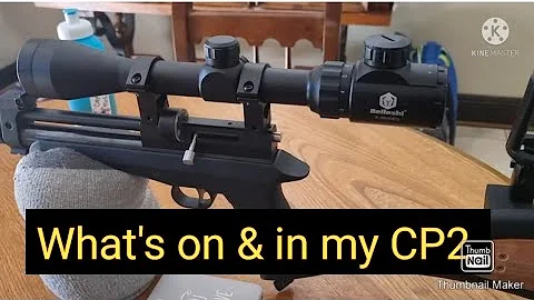 Inside my Artemis CP2/Diana Chaser + your opinions