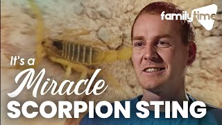 Surviving A Scorpion Sting | It's A Miracle