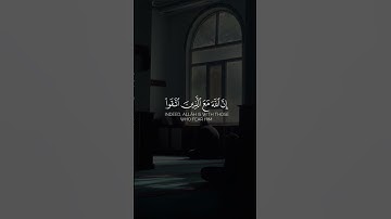 تلاوة عطرة من آيات الله، تهز القلوب وتشرح الصدور…
