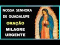 Nossa Senhora de Guadalupe: Oração Poderosa Para Um Milagre Urgente