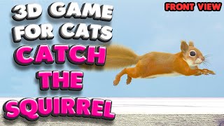 3D game for cats | CATCH THE SQUIRREL (front view) | 4K, 60 fps, stereo sound screenshot 4