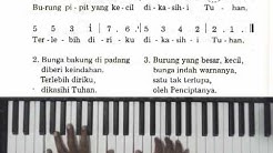 Judul Lagu Anak Sekolah Minggu Burung Pipit Download Kumpulan