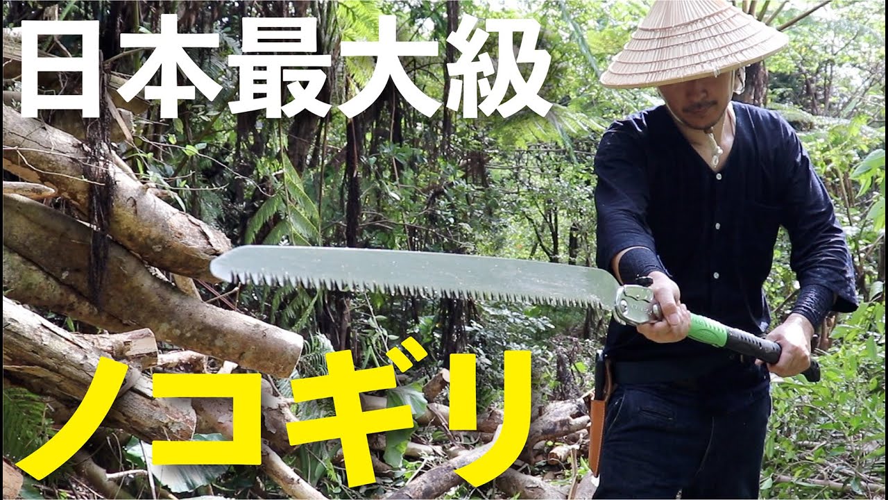 Cutting down trees that felled in a typhoon with the Silky Katana 