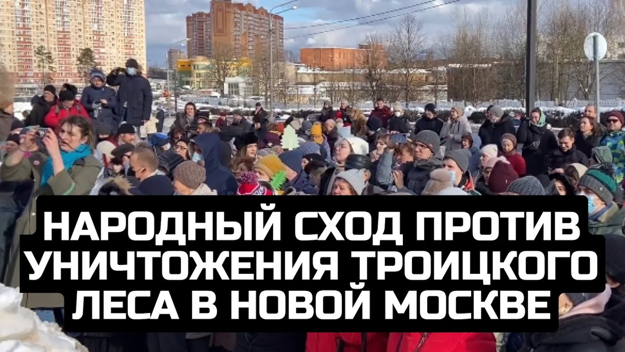 Народный сход против уничтожения Троицкого леса в Новой Москве / 13.02.22