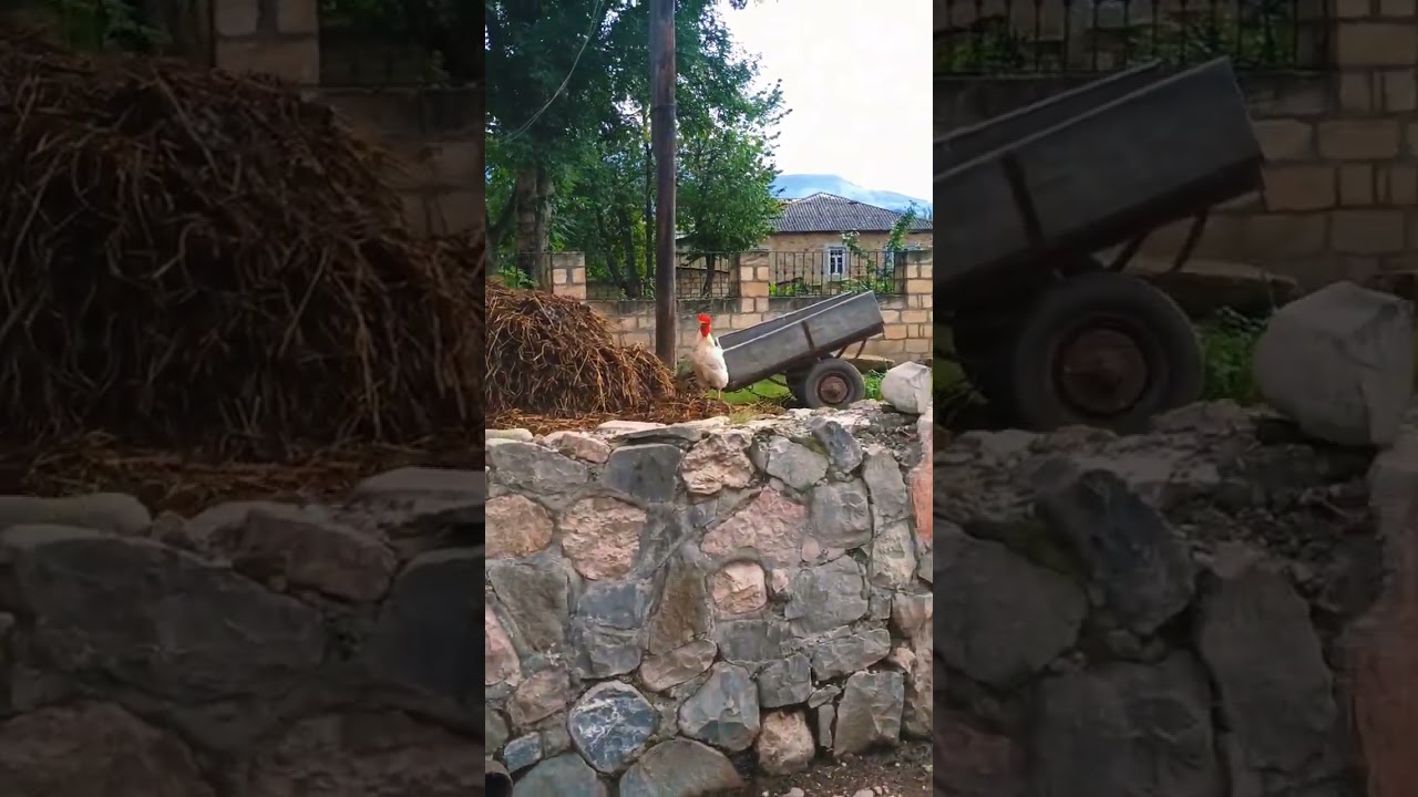 Qusar Əniq Kəndi . Nağıllar aləmi. 