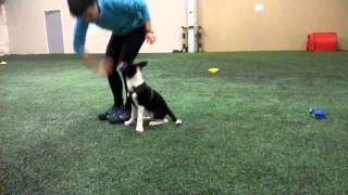 20150127 Flix three months