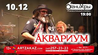 Борис Гребенщиков и гр Аквариум 10 декабря 2019 в Уфе