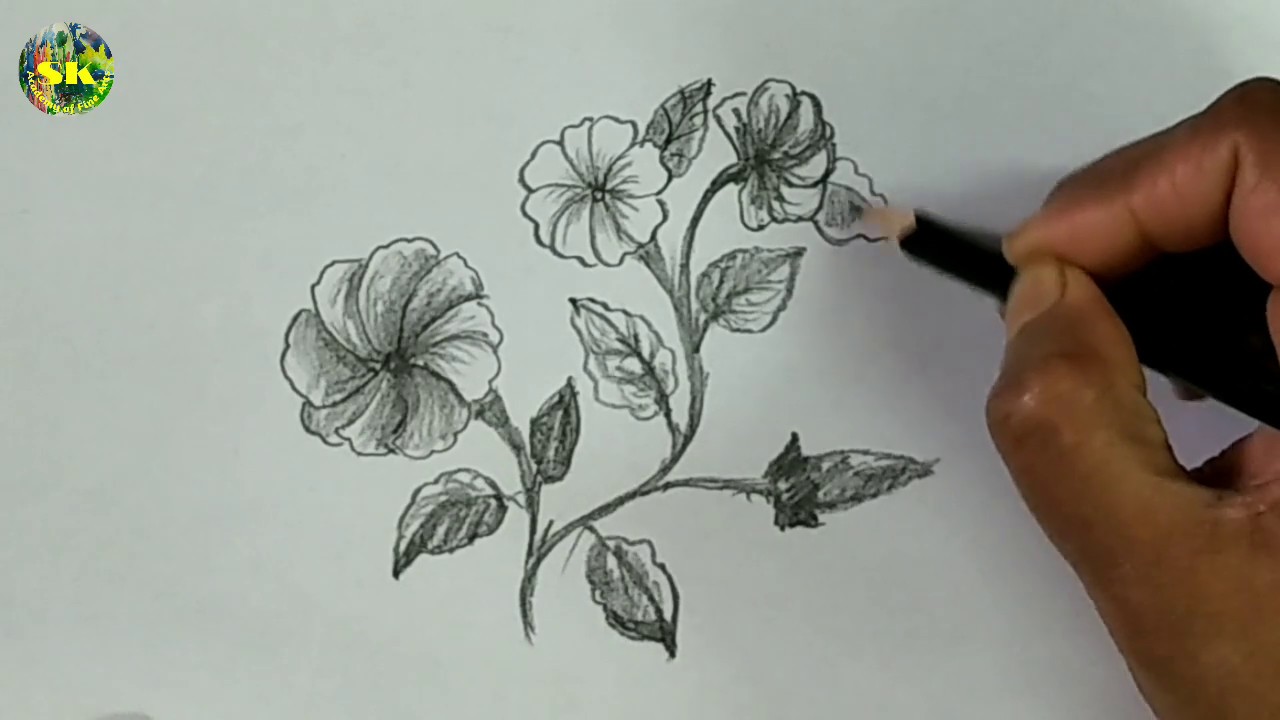 Featured image of post Simple Pencil Drawing Pictures Of Nature - Simple pencil drawing techniques are shown step by step of nature.