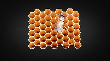 MMW Numbers and patterns