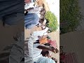 العمير فاني المادح المبدع محمد الخير عباس العمير فاني المادح المبدع محمد الخير عباس