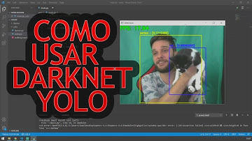 Python OpenCV - Aprenda a usar o Darknet Yolo V4 em 20 minutos! Detecção de objetos com Yolo V4.